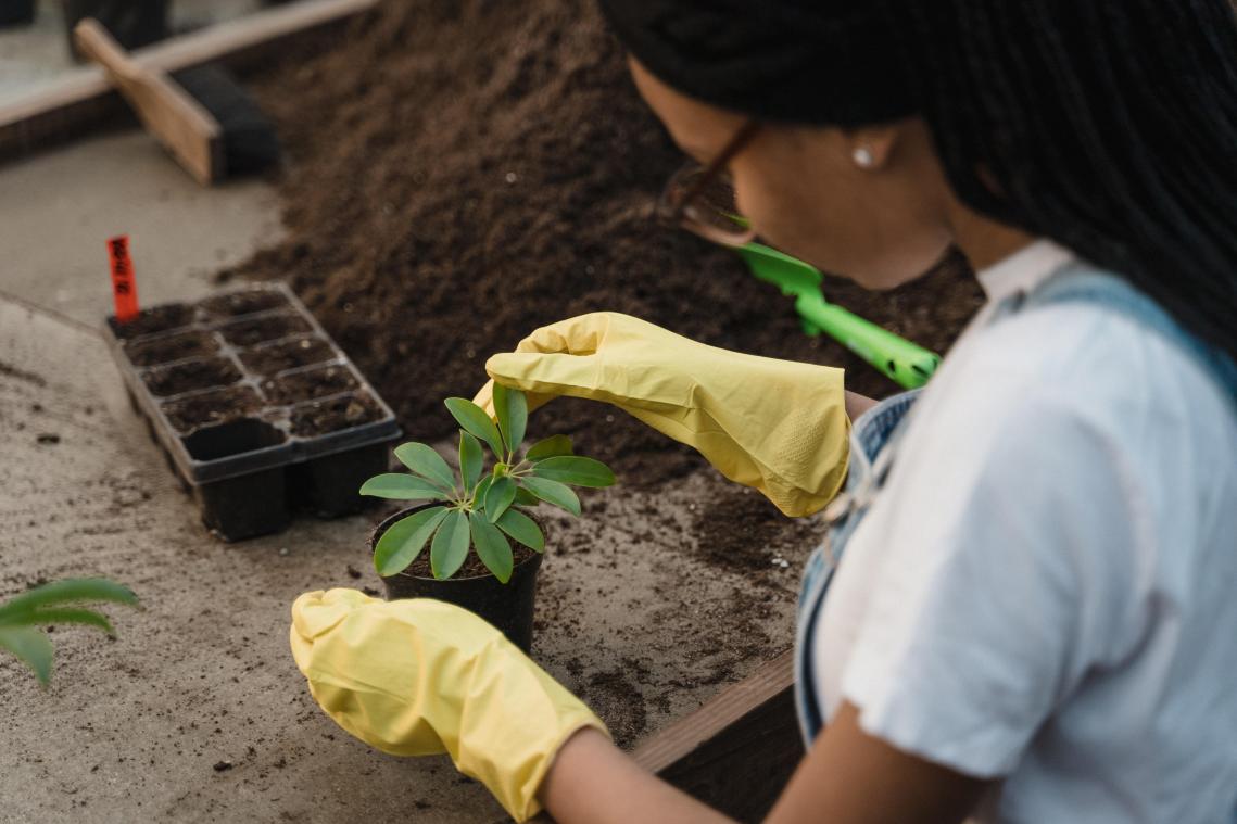 Visie op klimaat bepalend voor jobkeuze