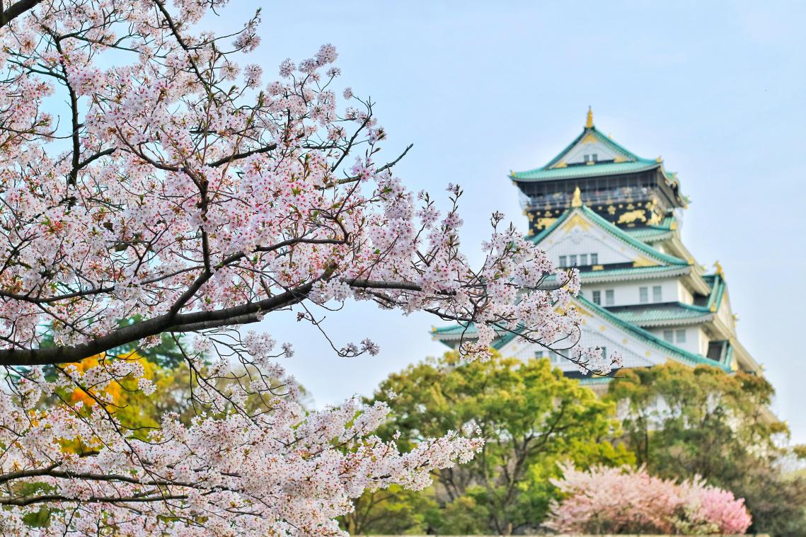 EINDELIJK. Japan gaat in mondjesmaat opnieuw buitenlandse toeristen binnenlaten