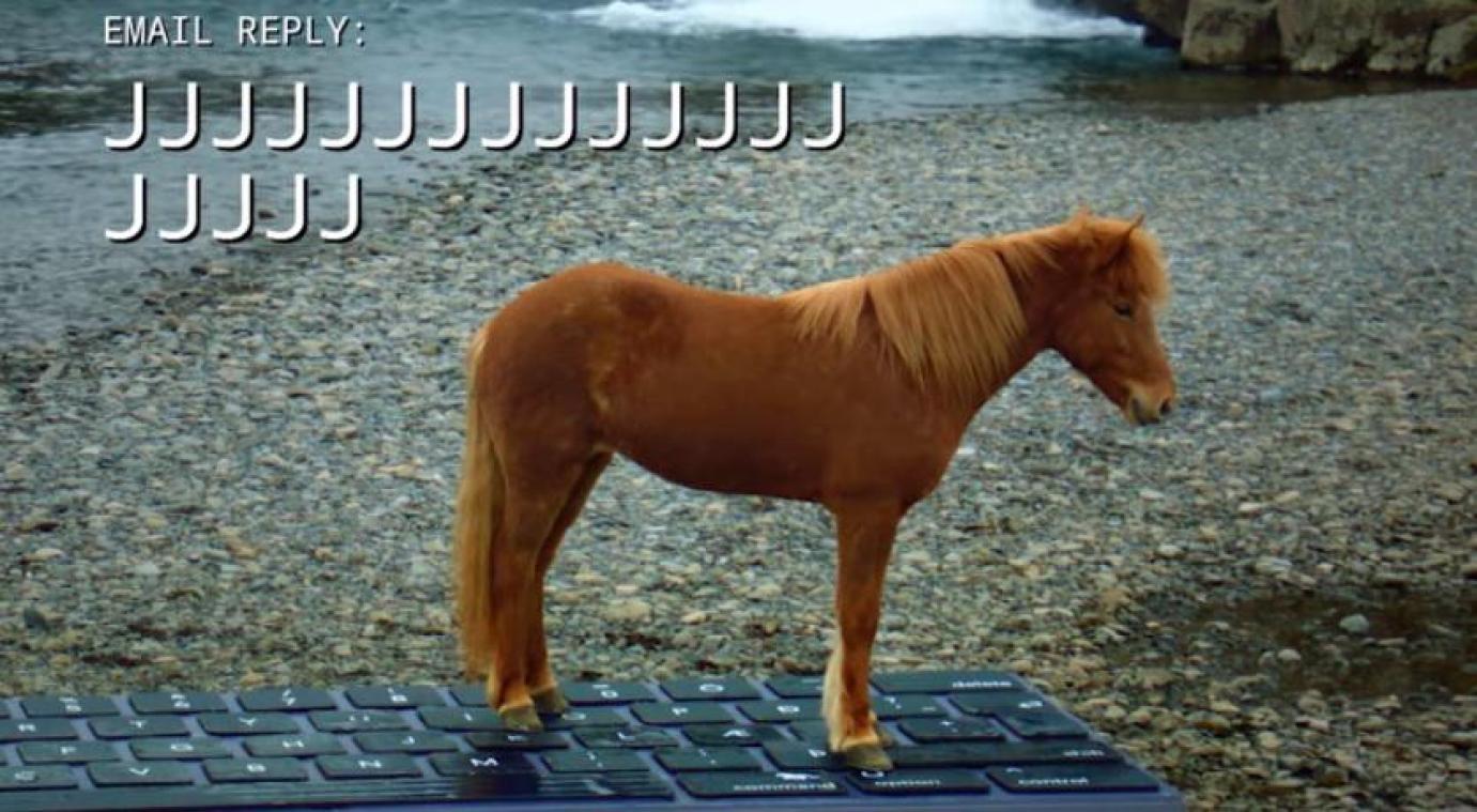 Binnenkort enkele dagen verlof? Laat dan eens een IJslands paard je out of office schrijven