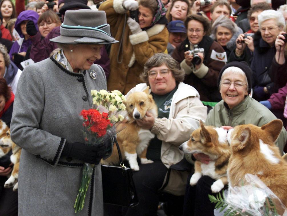 HOERA! Buckingham Palace viert verjaardag met Instagramstickers