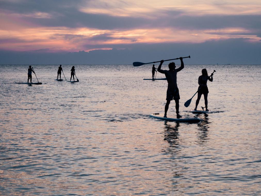 BUDGETTIP. Deze supermarkt komt nu met een heel assortiment SUP boards