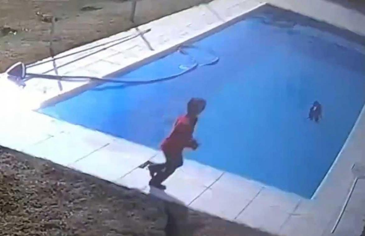Jongetje redt hond net op tijd van verdrinkingsdood in zwembad: «Wat een held!» (video)