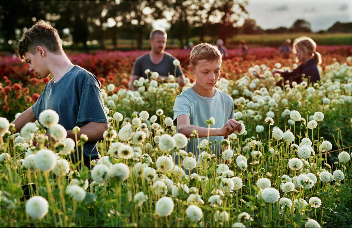 MOVIES. In gesprek met de winnaars van Cannes: «We moeten blijven investeren in filmmakers en scholen»