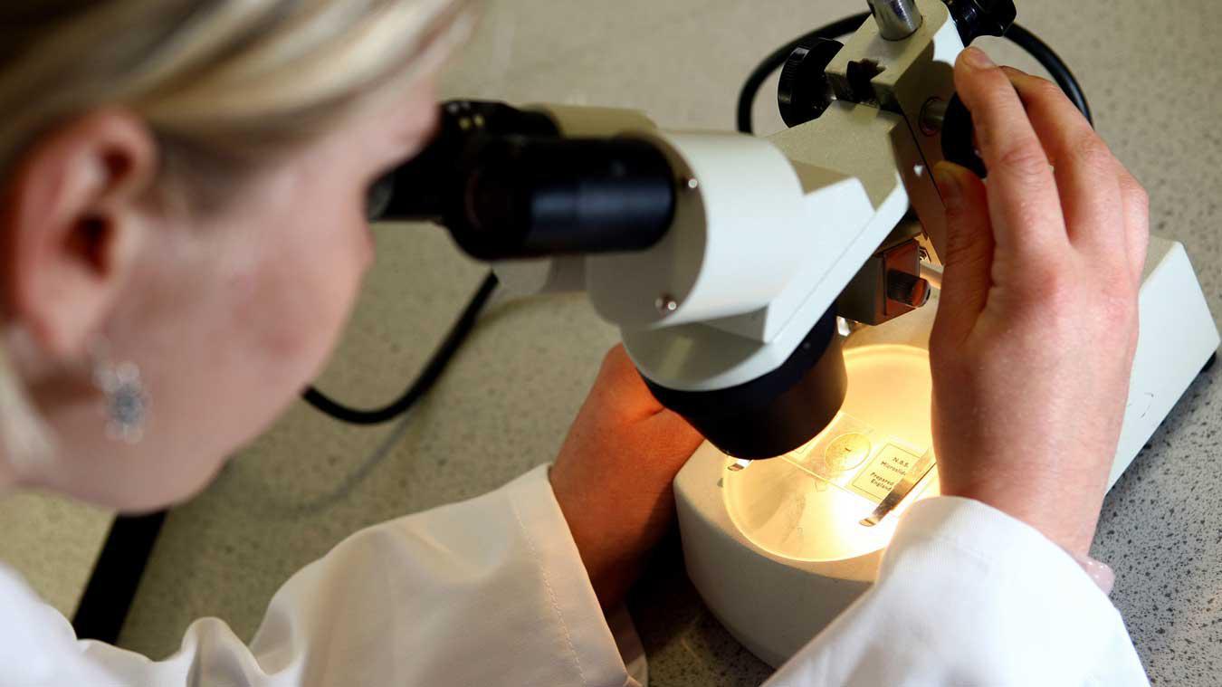Kankermedicijn geneest alle proefpatiënten: «Eerste keer dat zoiets voorvalt»