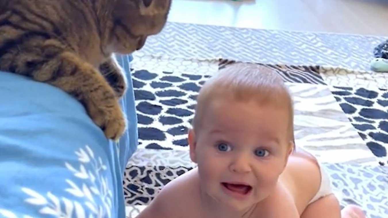 TE SCHATTIG! Kat troost huilende baby: «Poezen zijn de beste!» (video)