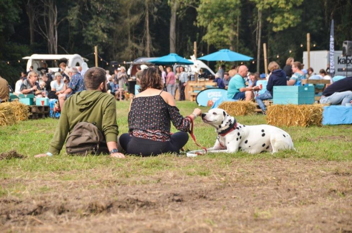 Eén op de drie baasjes gaat liever met hond naar festival dan met vrienden