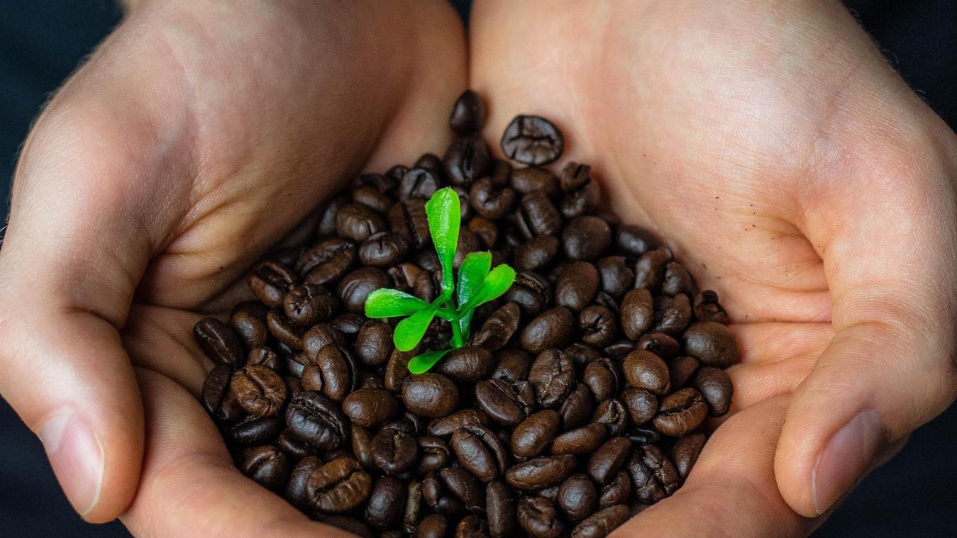 Verkoop fairtradeproducten kende sterke groei in 2021