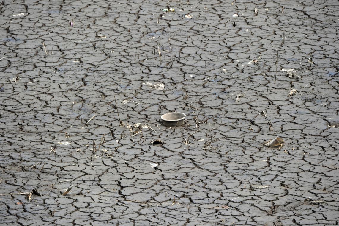 Vlaming bereid om te douchen in regenwater en minder te verharden in strijd tegen waterschaarste