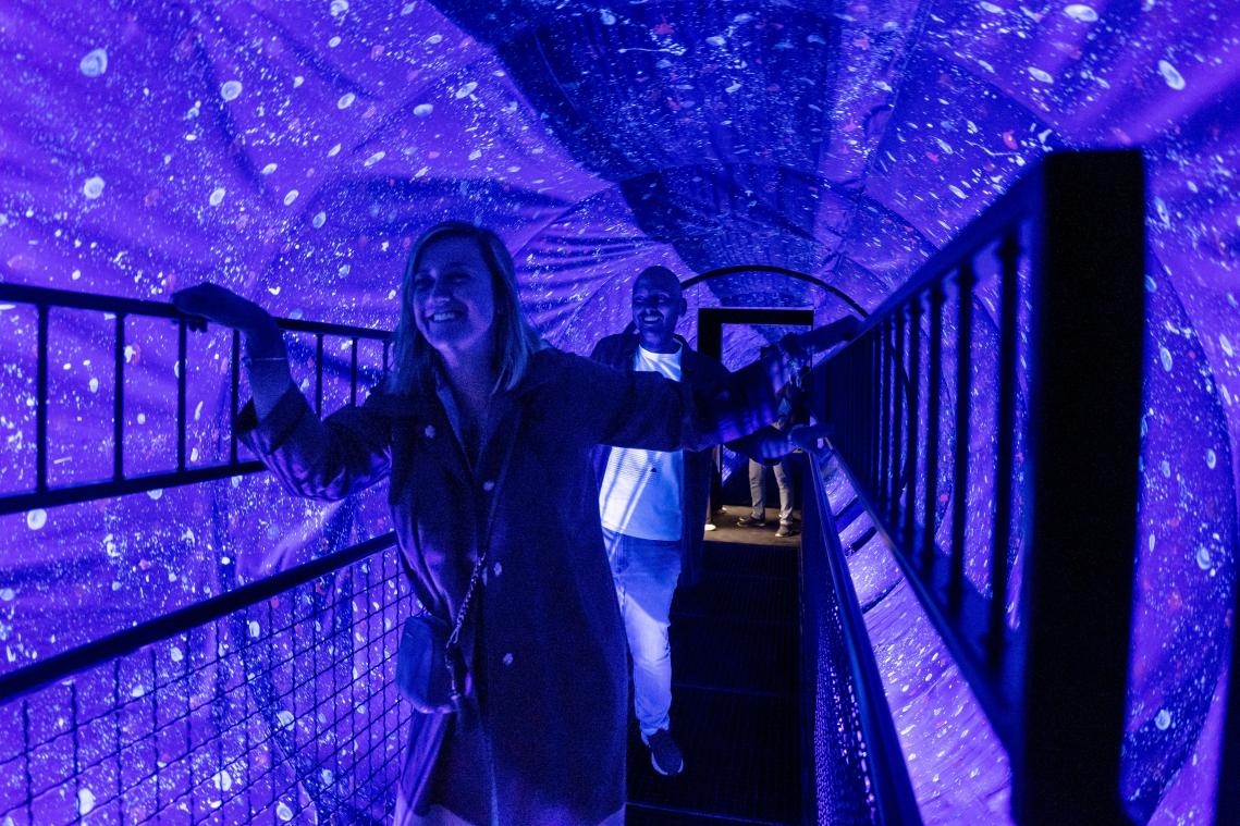 Brussel pakt uit met grootste Museum of Illusions van Europa