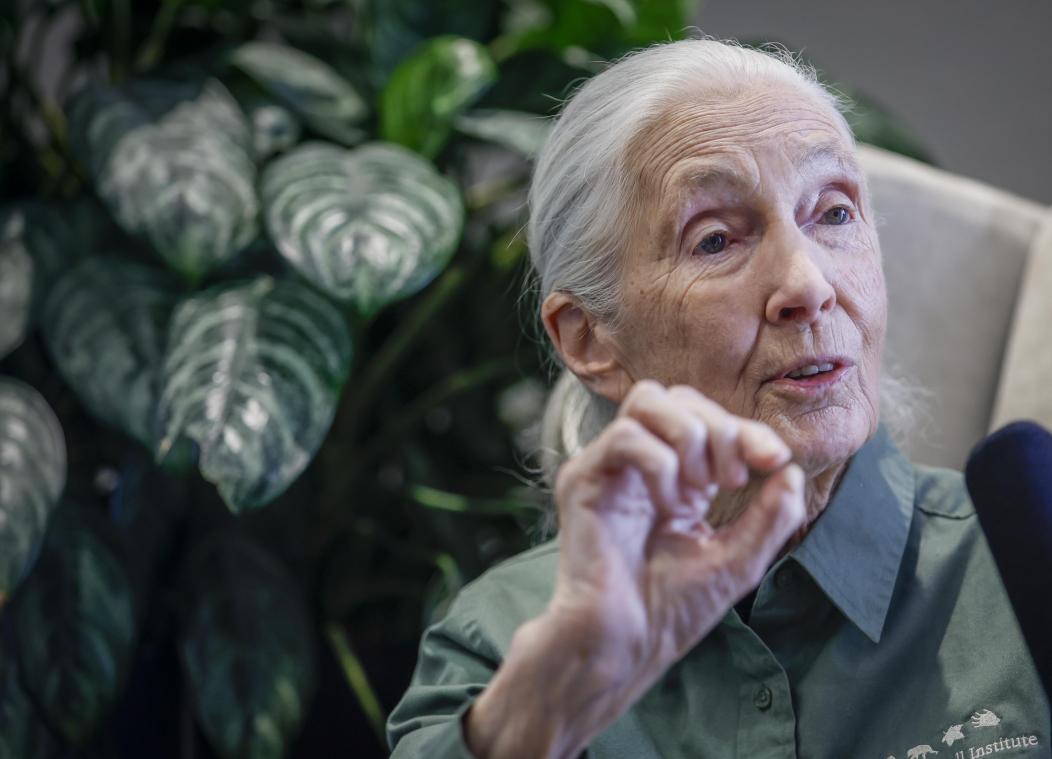 Jane Goodall krijgt eigen Barbiepop om jonge meisjes mee te inspireren