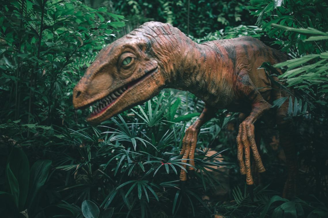 WOW. Klant ontdekt per ongeluk 100 miljoen jaar oude voetafdruk van dinosaurus in Chinees restaurant