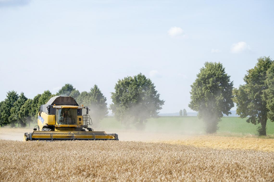 Vandaag zijn alle natuurlijke hulpbronnen op: Earth Overshoot Day valt opnieuw vroeger dan vorig jaar