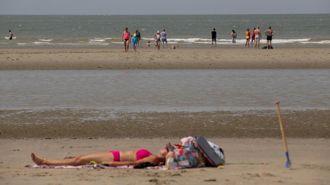 ZO kan de hitte het zeeleven bij ons ook in grote problemen brengen