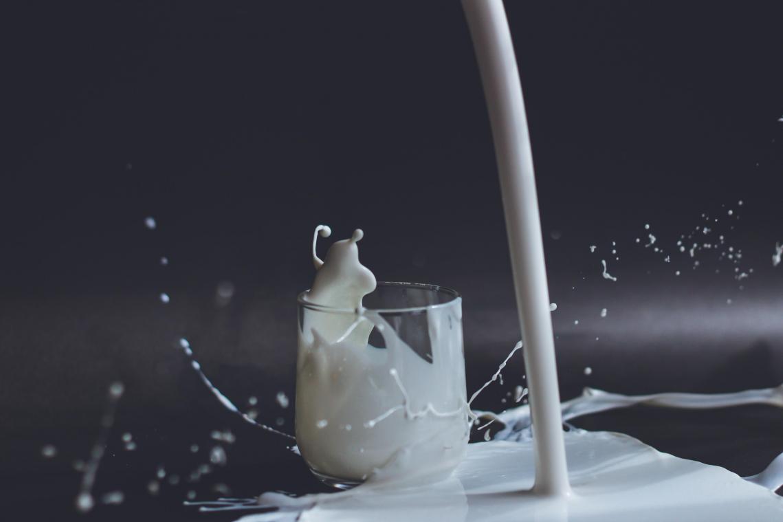 STUDIE. Prehistorische Europeanen waren lactose-intolerant maar dronken toch melk