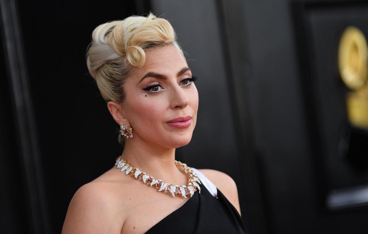 Vier jaar celstraf voor man die hond van Lady Gaga stal