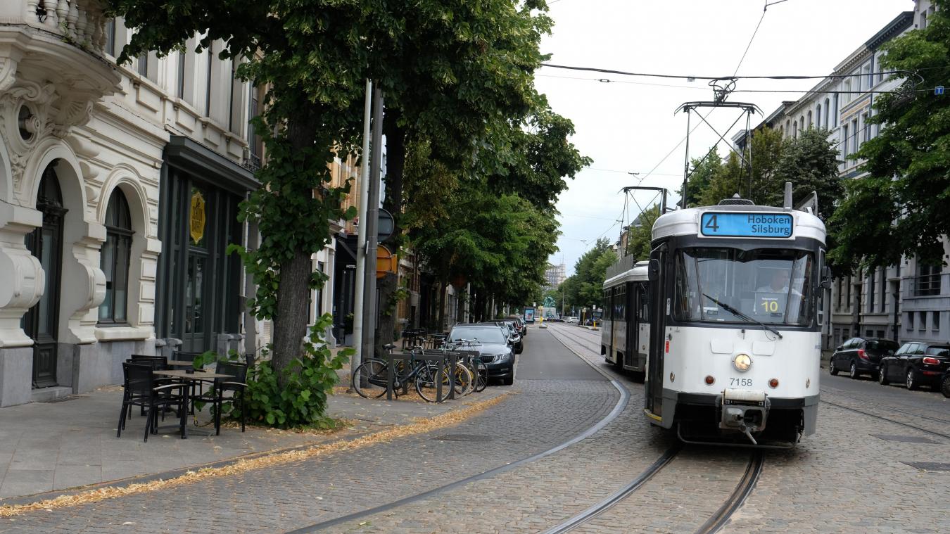 De Lijn schrapt opnieuw ritten met oude trams in Antwerpen vanwege de hitte