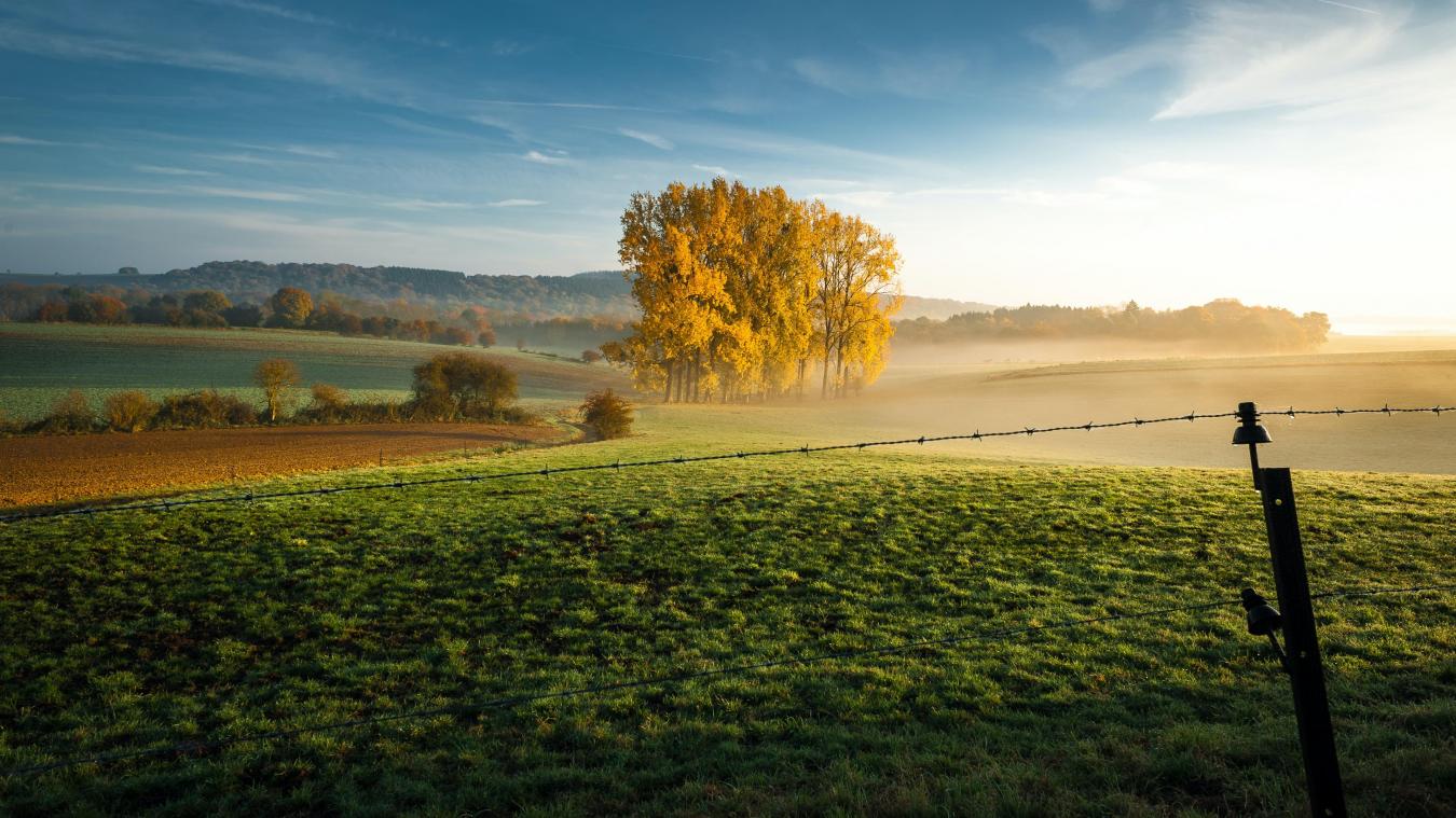 Hitte kan inheemse biodiversiteit op Belgisch platteland bedreigen