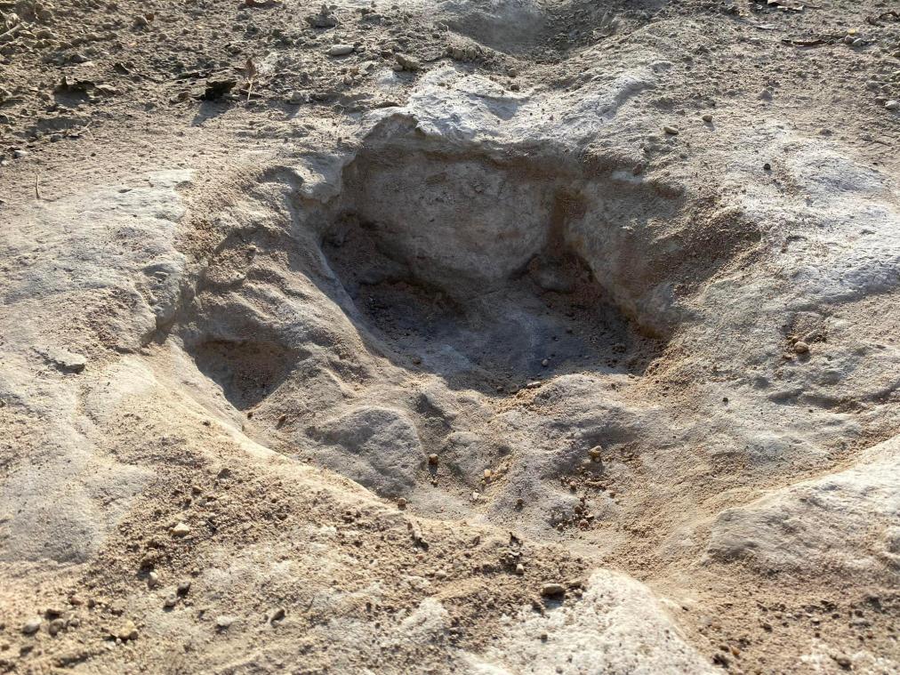 WOW. Droogte onthult 113 miljoen jaar oude sporen van dinosaurussen in Texas (foto’s)