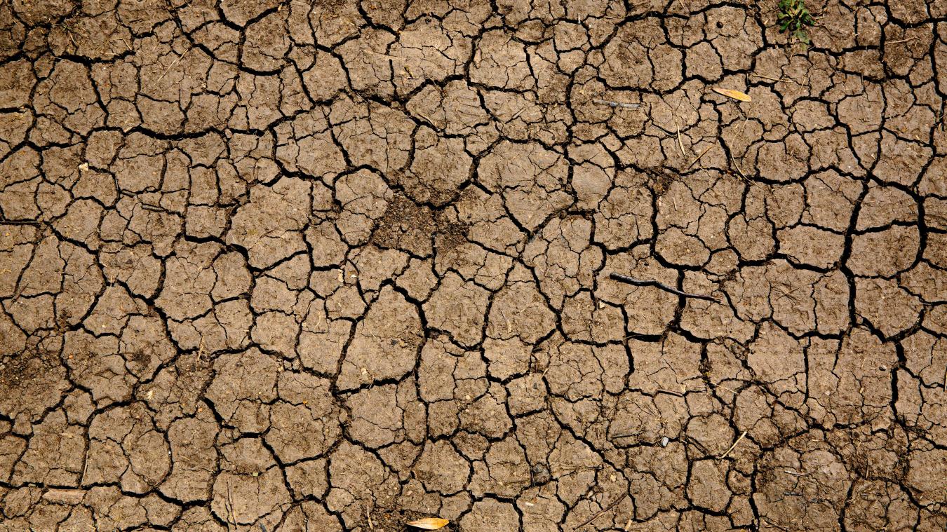 Droogterecord in Vlaanderen overschrijdt dat van 1976 en 2018