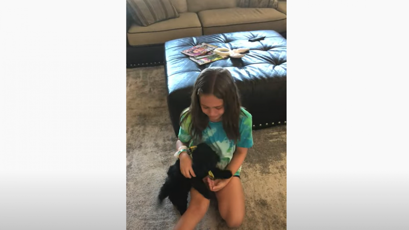 LIEF. Ouders verrassen dochtertje met puppy (video)