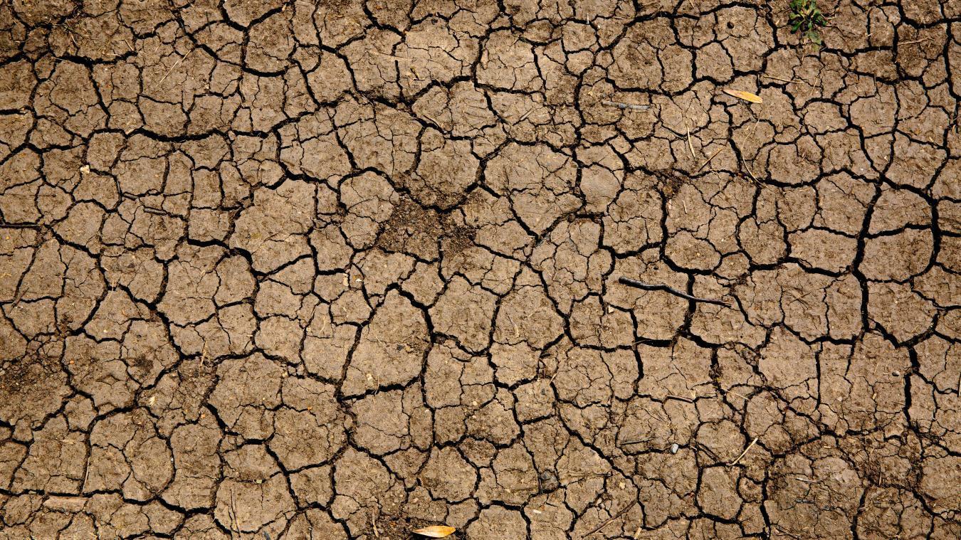 Regen van afgelopen dagen onvoldoende voor significant herstel van waterpeilen