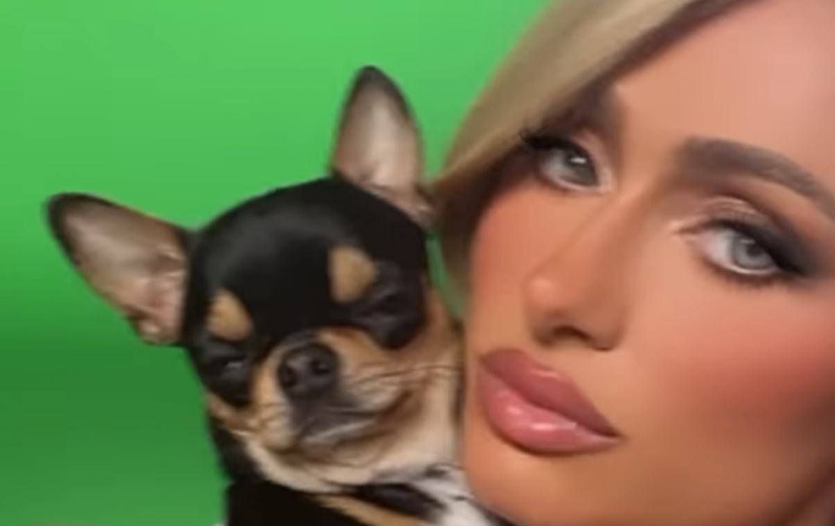 Paris Hilton belooft «grote beloning» aan wie haar chihuahua terugvindt: «Mijn hart is gebroken»