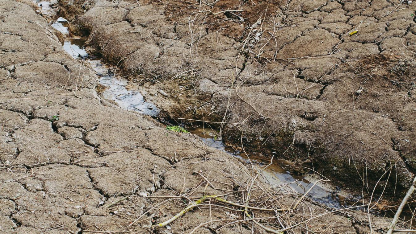 «Door klimaatverandering is droogte in de zomer minstens 20 keer waarschijnlijker»