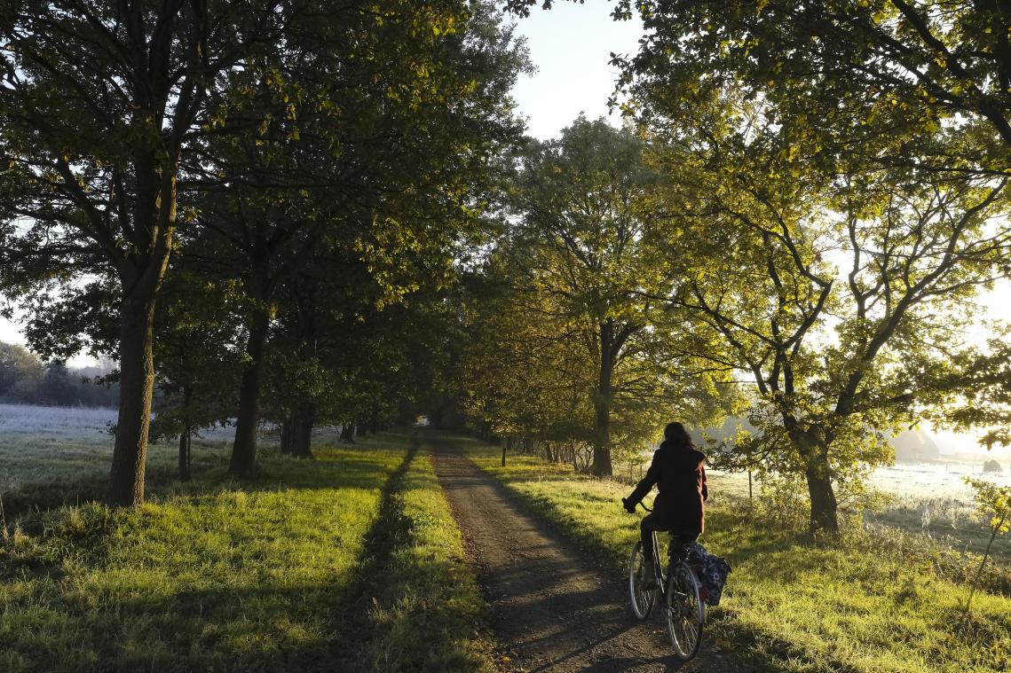 Dit weekend meer dan 180 activiteiten voor Dag van de Trage Weg
