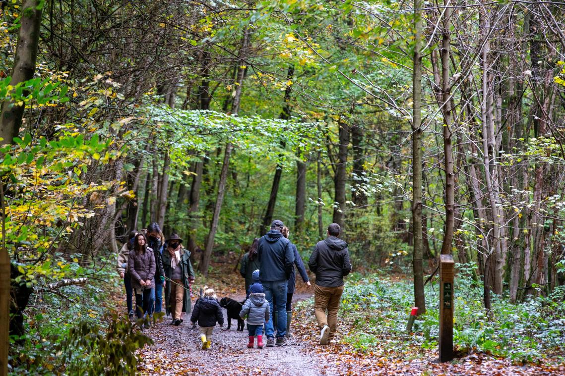 UitTips. Het weekend brengt herfstwandelingen, Kapitein Winokio en Wouter Deprez