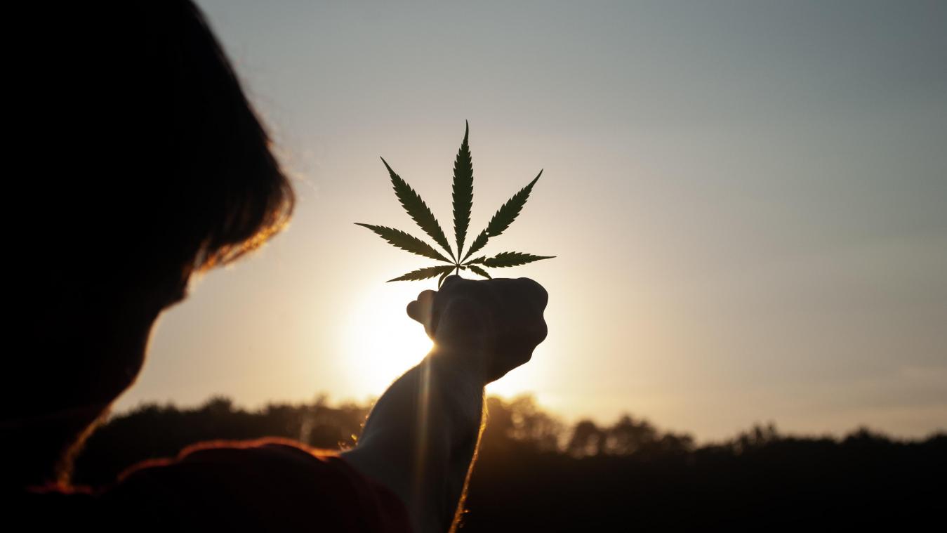 Dit land zet eerste stappen richting legalisering van cannabis
