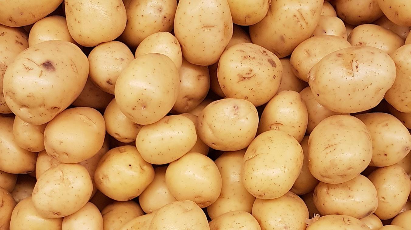 BIZAR. Klimaatactivisten gooien aardappelpuree op schilderij van Monet in Duitsland