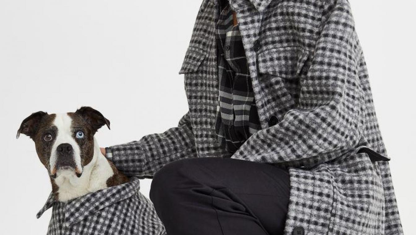 Twinnen met je viervoeter? Bij H&M vind je outfits voor jou én je hond