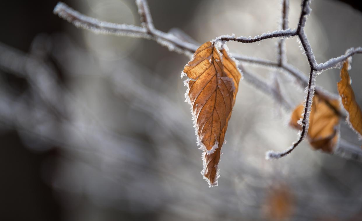 BRRR. Nog tot dit weekend bibberen met temperaturen onder of rond het vriespunt