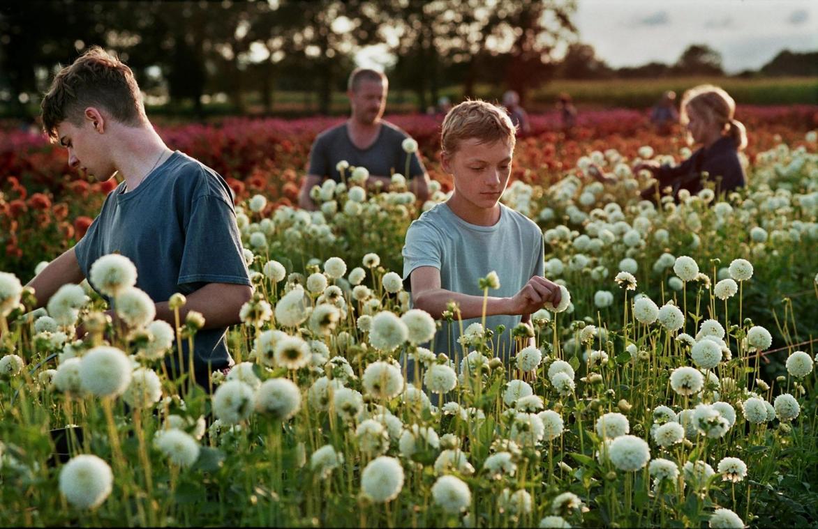 De vier beste films van 2022