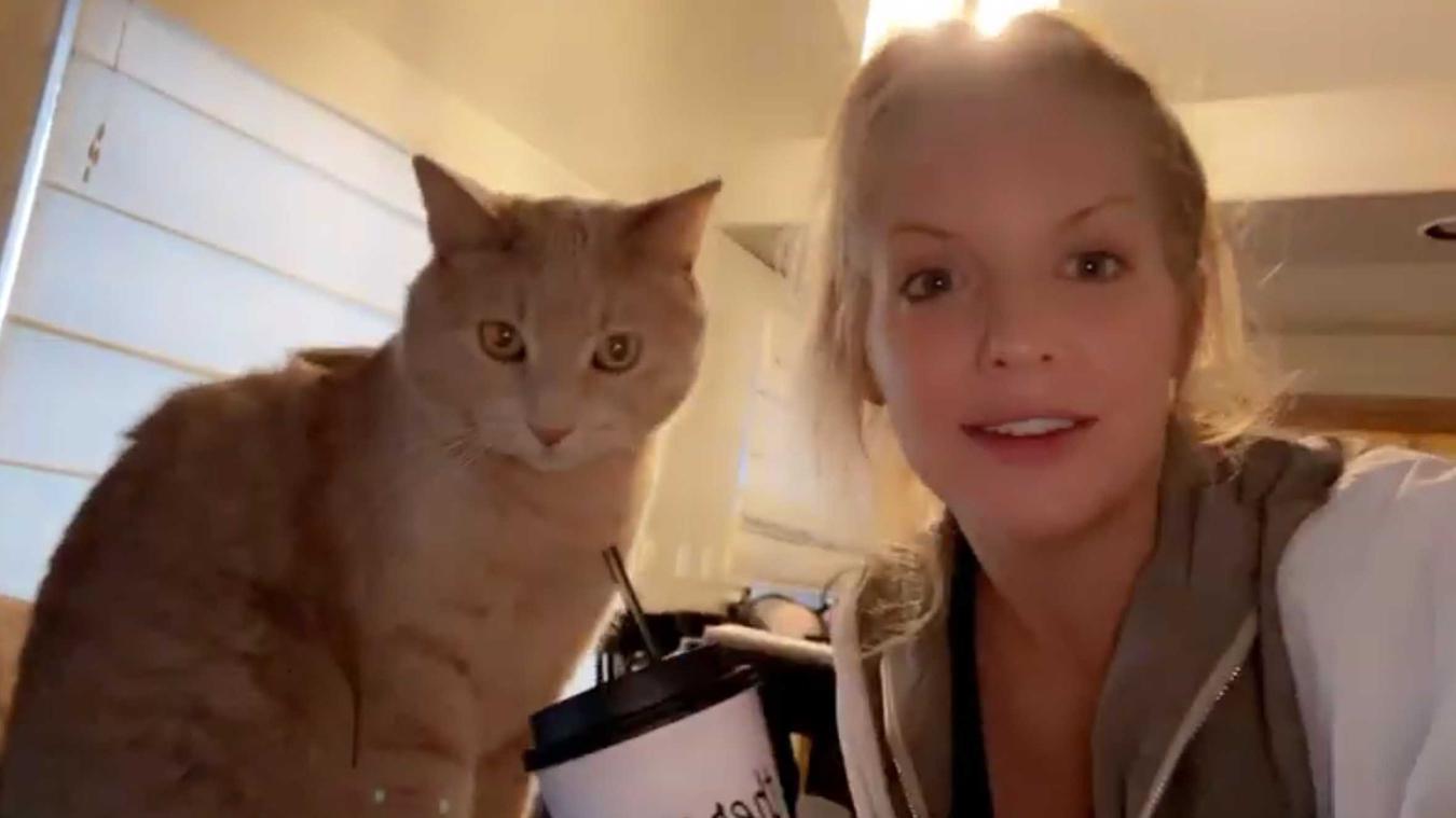 Kat neemt hilarische pose aan tijdens selfie met baasje: «Haha, zo grappig!» (video)