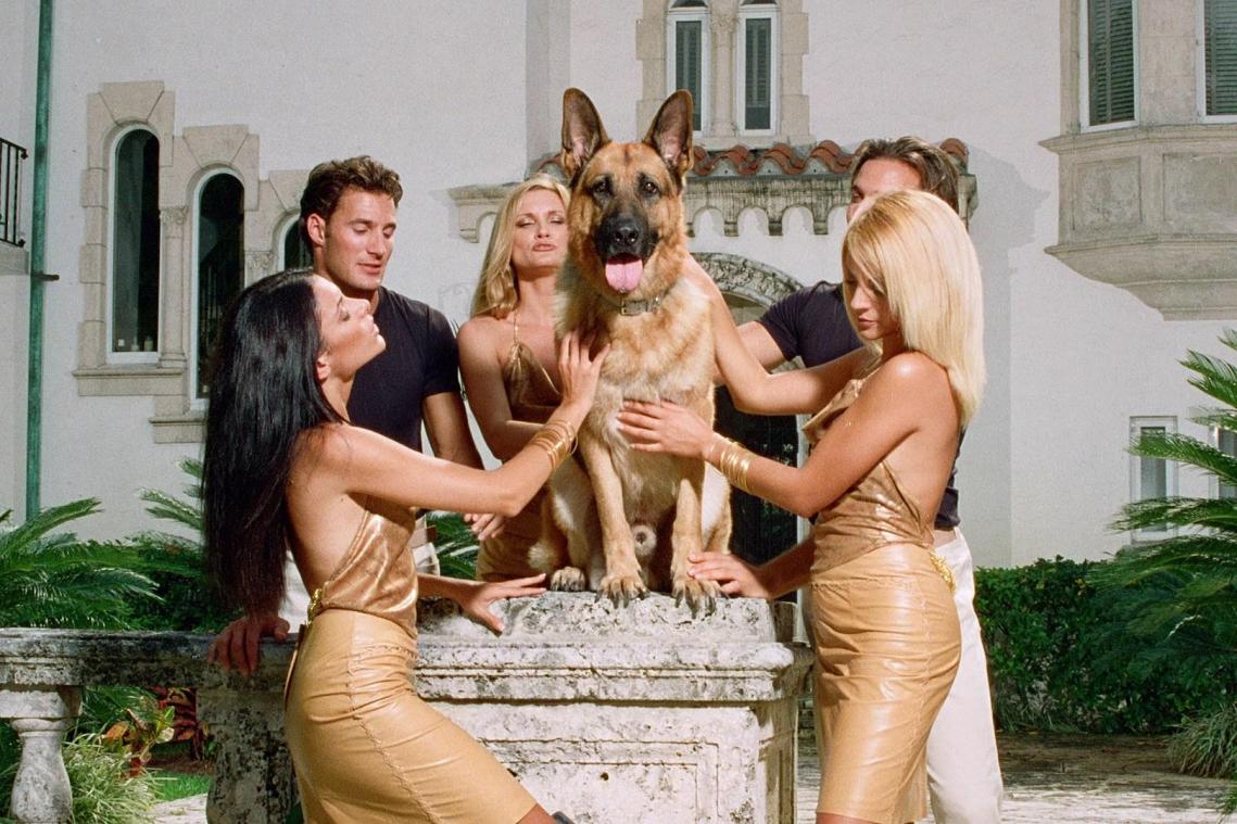 Maak kennis met Gunther VI, de rijkste hond ter wereld en spil van nieuwe Netflix-serie
