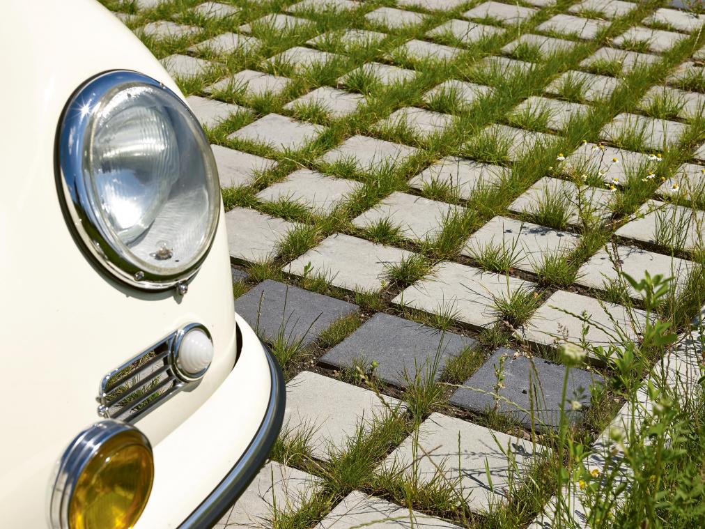Dit is de sponstuin, de tuin die onthardt tegen regen én droogte