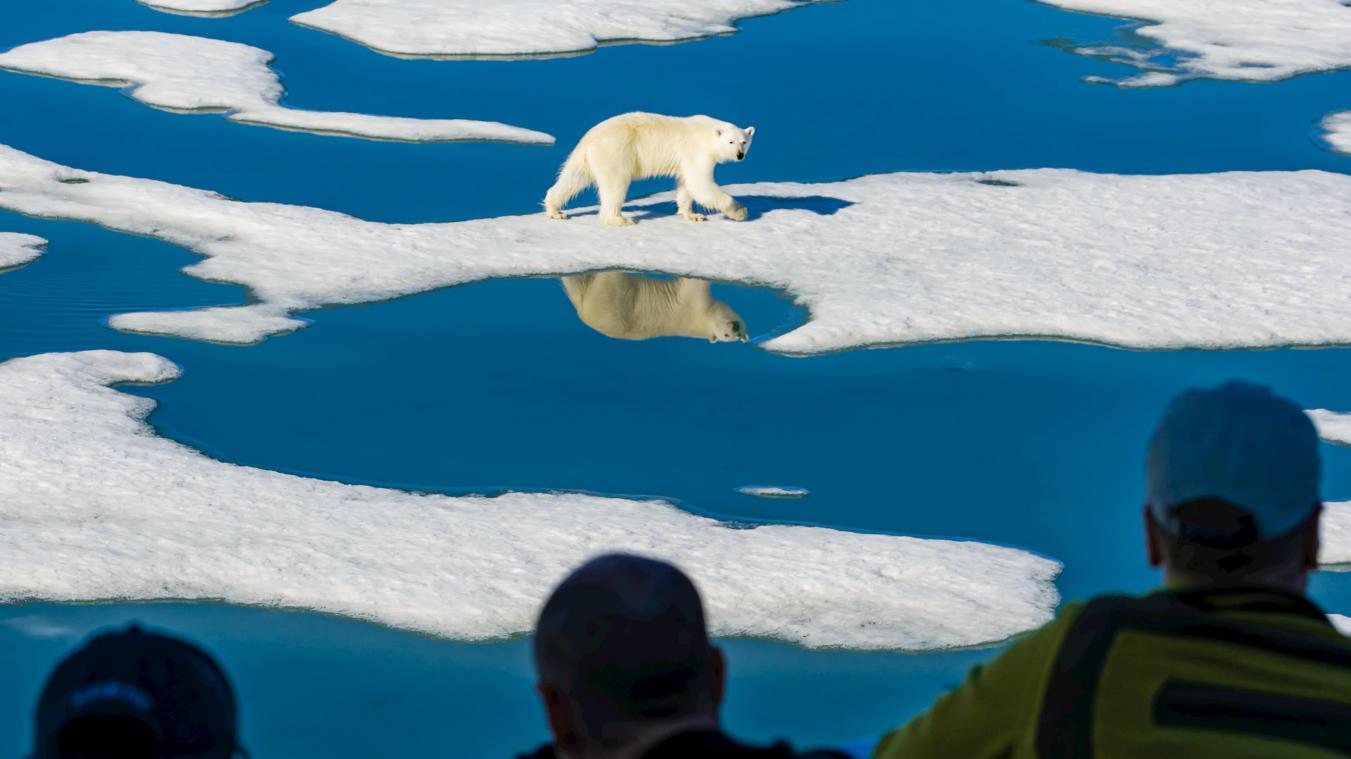 WTF. Alarmerende PFAS-niveaus in arctische wildernis Spitsbergen