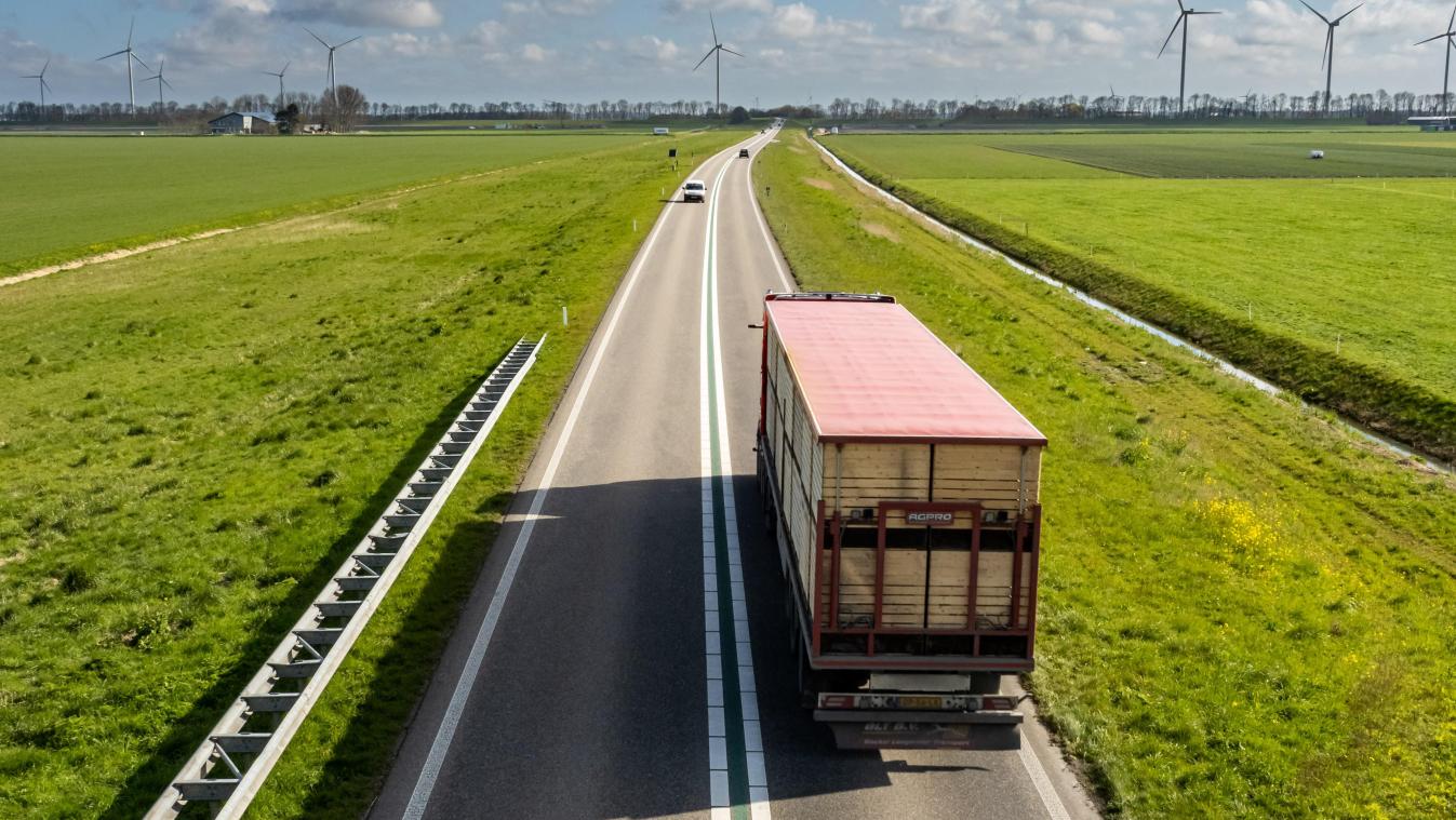 Bijna helft vrachtwagens in overtreding bij controleactie in Benelux