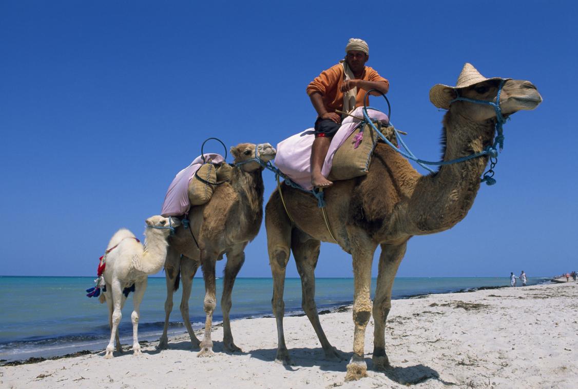CHECK-IN. Djerba, de perfecte familietrip