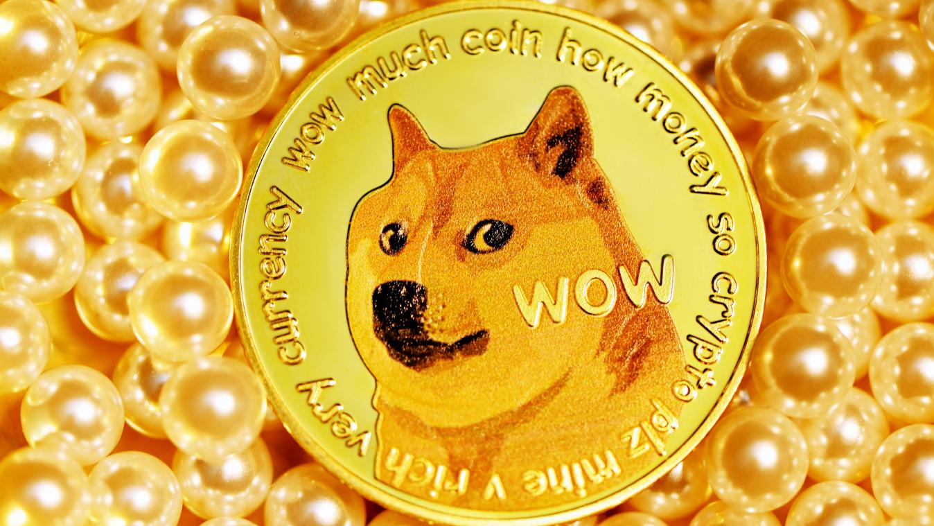 Elon Musk vervangt Twitter-vogeltje door logo van... dogecoin