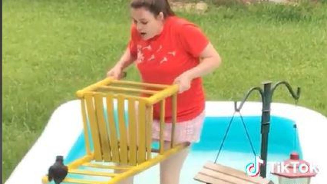 Vrouw wil eekhoorn redden uit zwembad, maar dat loopt helemaal fout (video)
