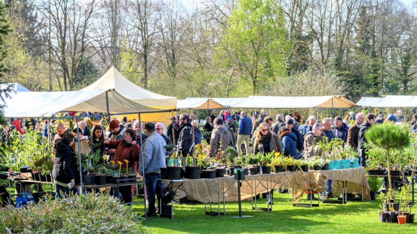 UITTIPS. Plantendag, een filmfestival en een rommelmarkt