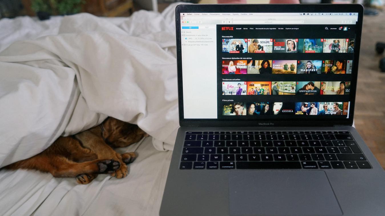 Hiervoor gebruikt de Vlaming gebruikt het internet vooral