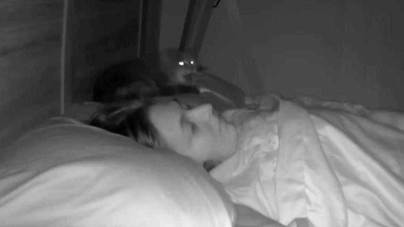 Kat heeft nachtmerrie en miauwt baasje KEIHARD wakker: «Niet goed om zo te schrikken!» (video)