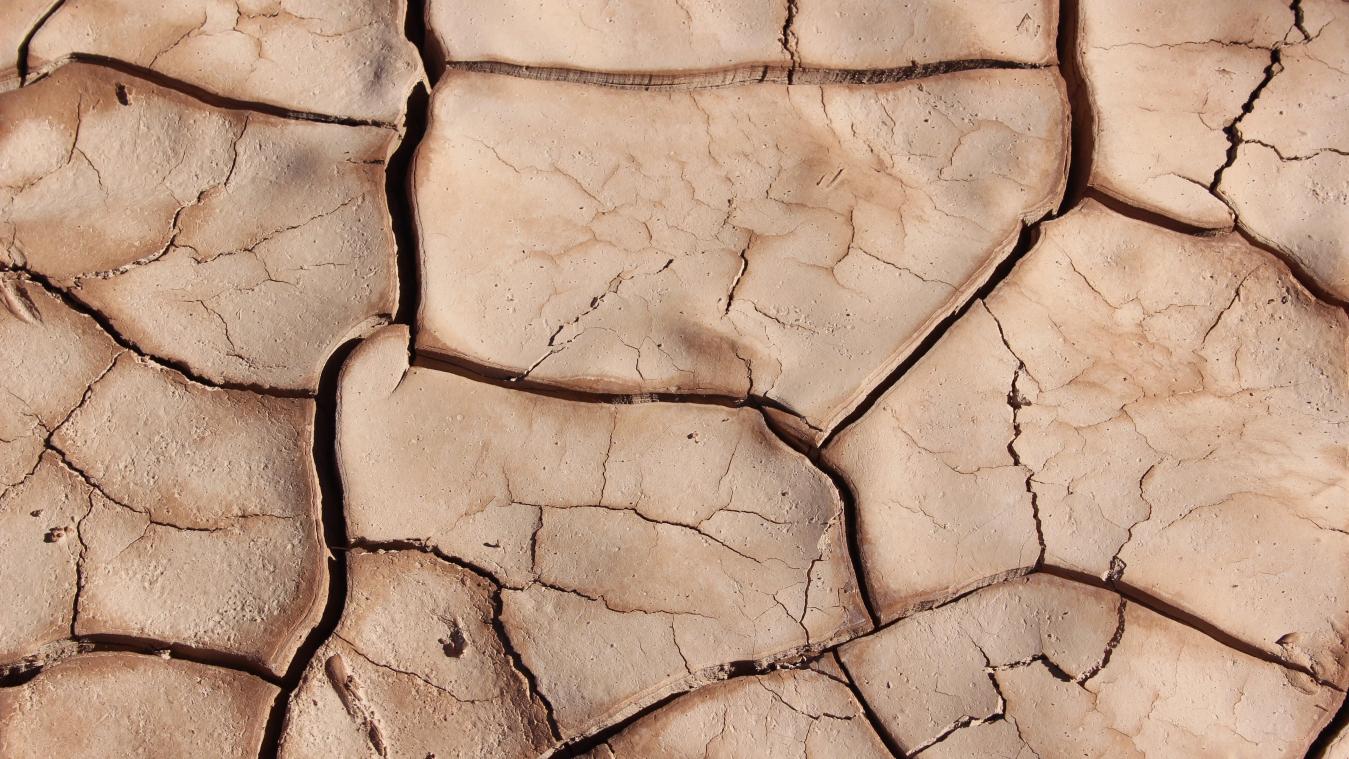 Bodem in Europa stuk minder droog dan vorig jaar, behalve in Spanje
