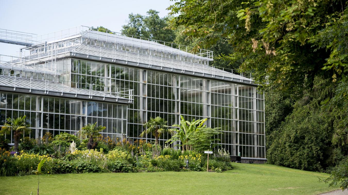 Belgische botanische tuinen en arboreta bundelen collecties op online platform