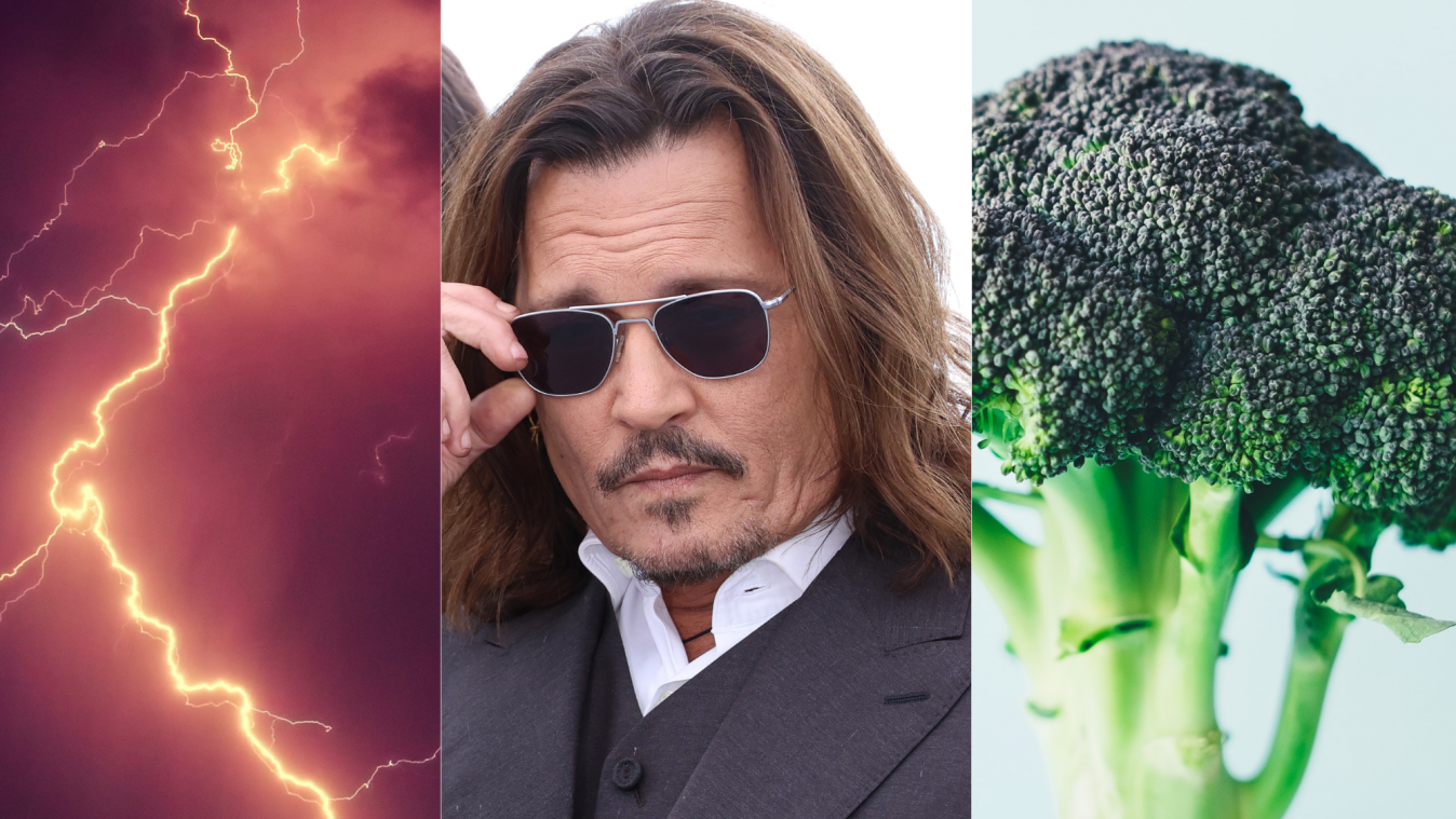 Het belangrijkste nieuws van 14 juni: regen op komst, Johnny Depp krijgt een miljoen van Amber Heard, code oranje voor brandgevaar