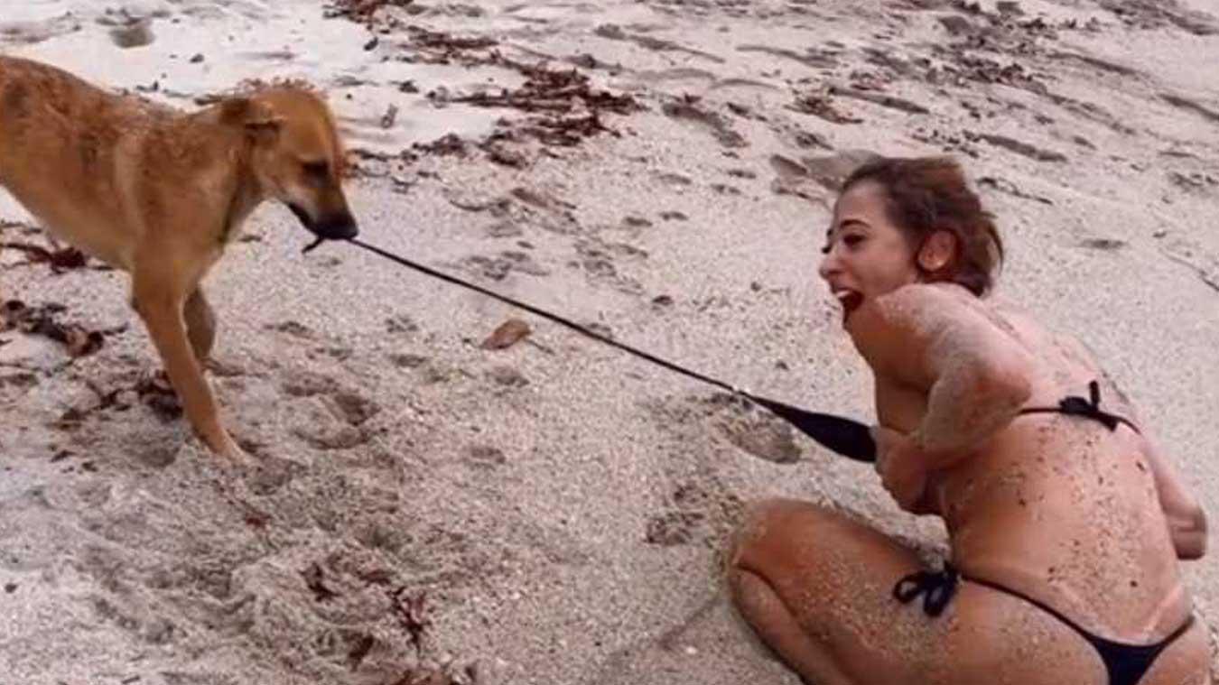 Hond probeert bovenstukje van vrouw uit te trekken: «Help me!» (video)