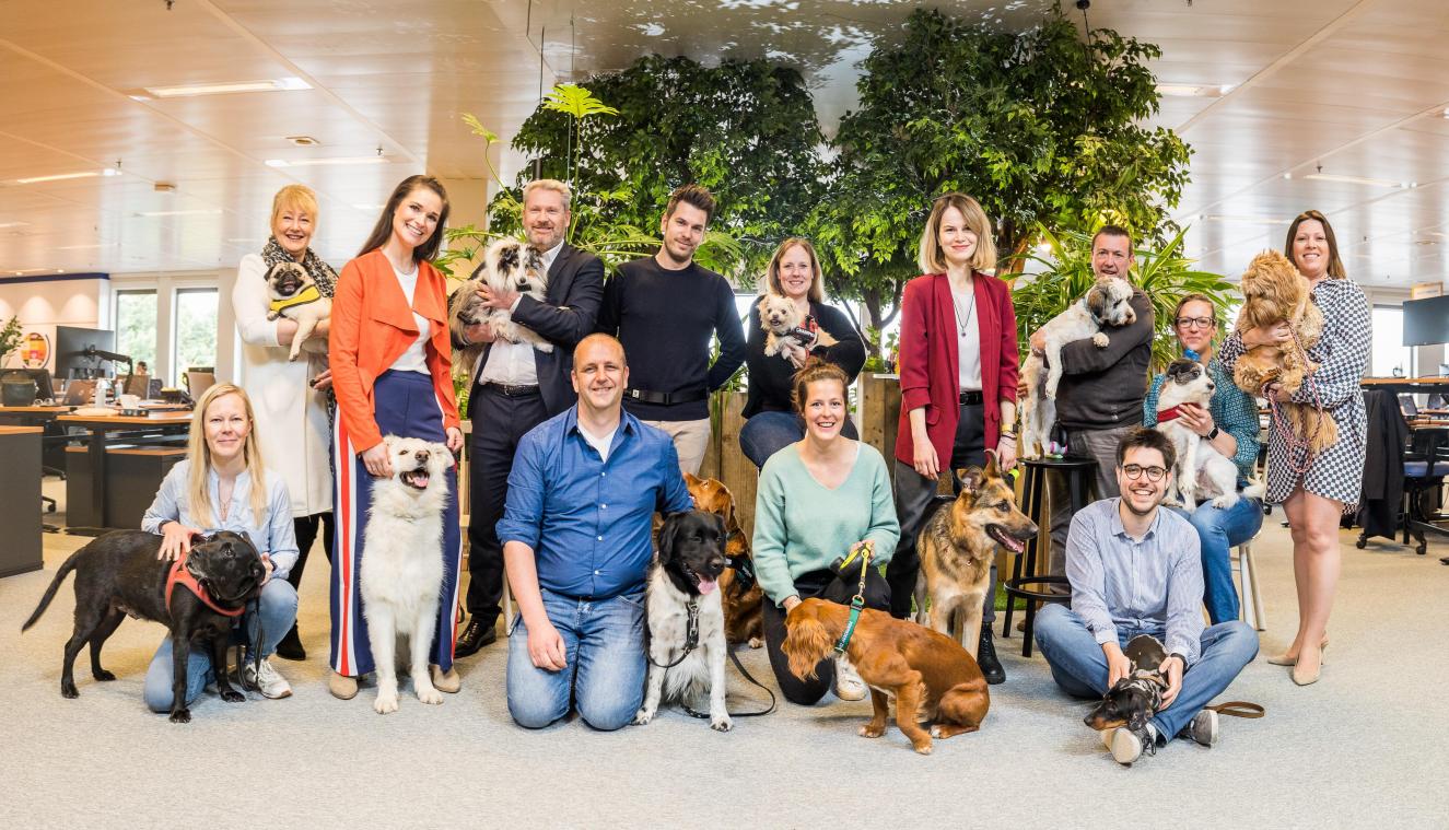 ‘Bring your dog to work’-day: waarom een hond op kantoor een goed idee is